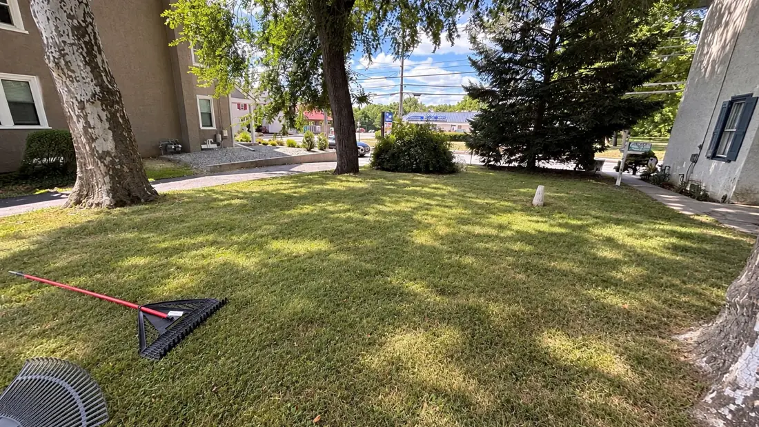 After cleanup, with AI-aligned perspective; original photo available below