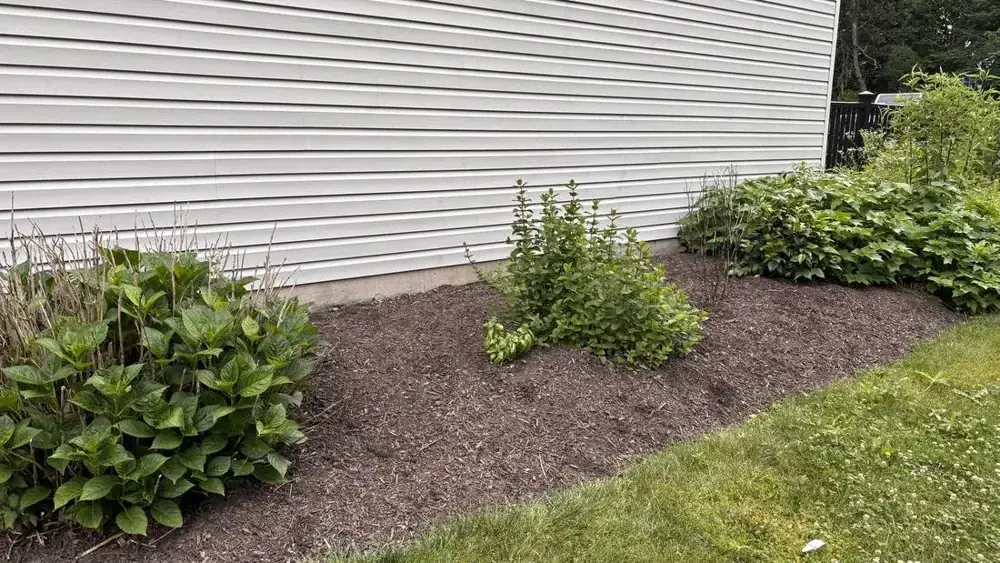 Freshly mulched garden bed beside a home