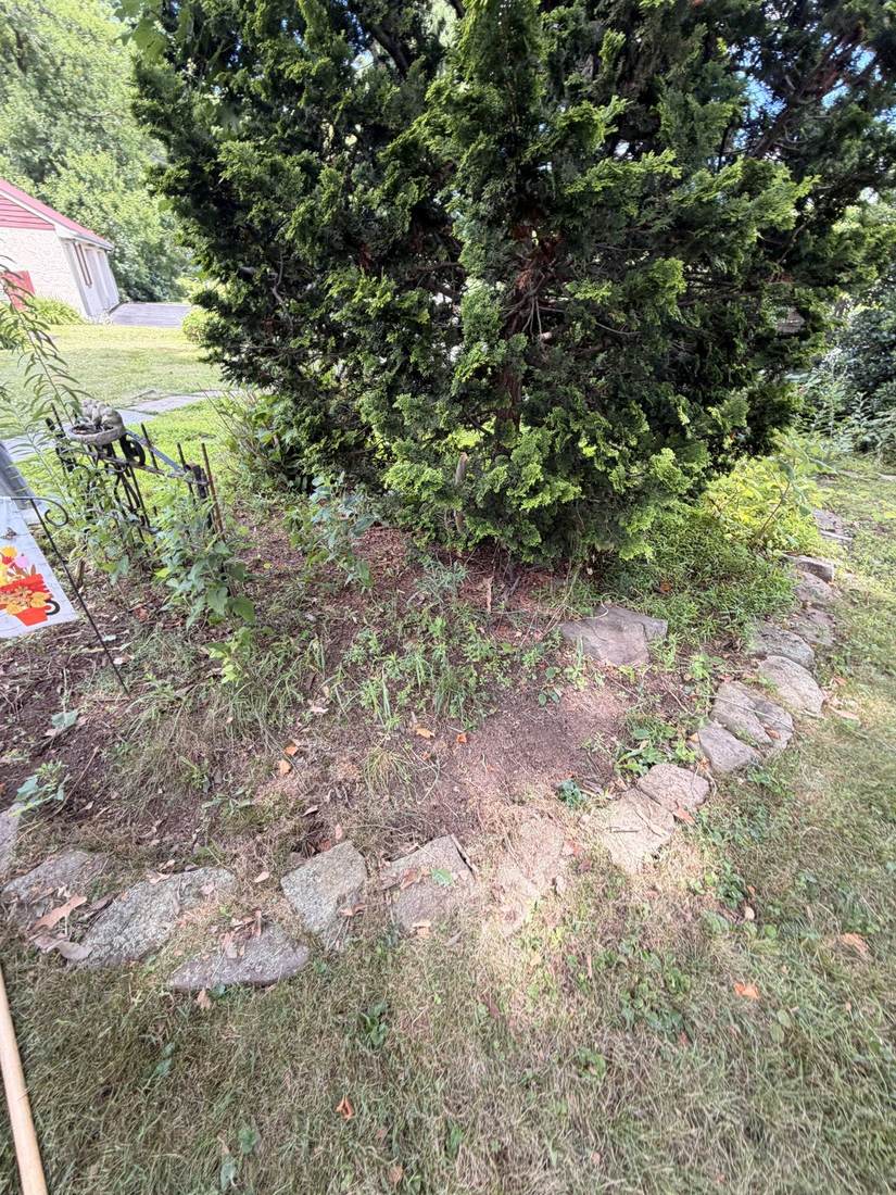 Garden bed after cleanup