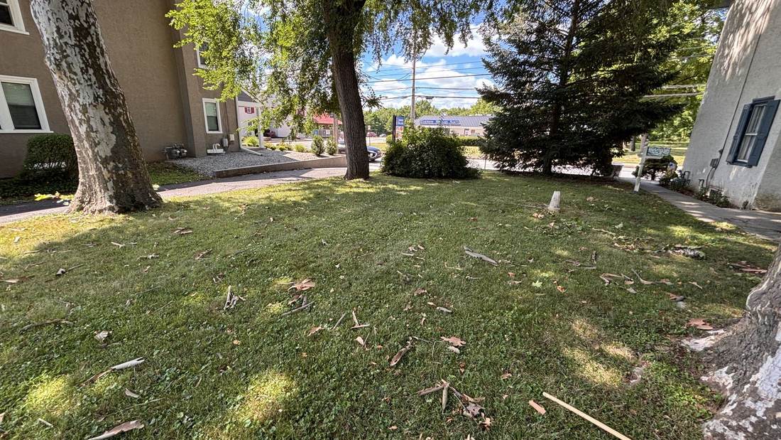 Yard after cleanup