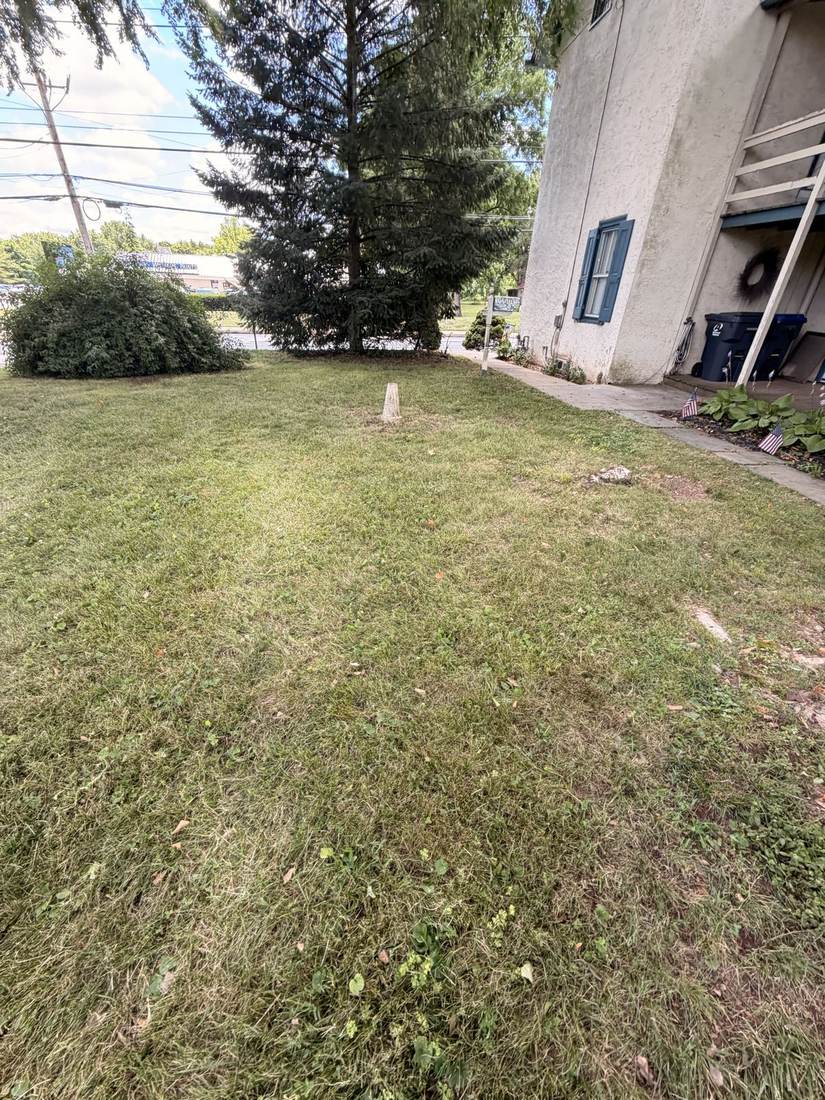 Additional yard cleanup photo